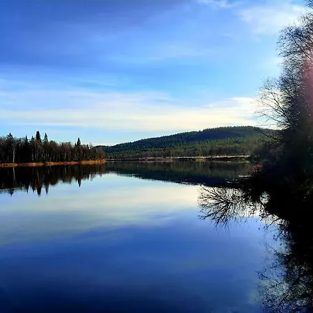 Lumikettu *